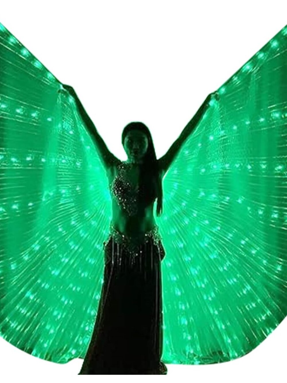 Women's Green Led Light Up Wings Imported Belly Dance Halloween Costume